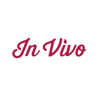 Logo In Vivo Agency